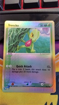 Treecko 80/97 (reverse) Ex Dragon nm - 1