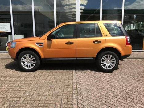 Land Rover Freelander - 2.2 TD4 HSE leder navi pandak - 1