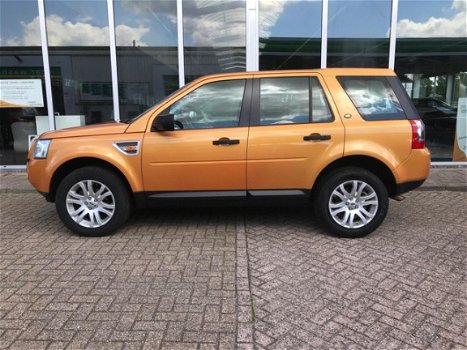 Land Rover Freelander - 2.2 TD4 HSE leder navi pandak - 1