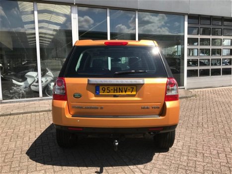 Land Rover Freelander - 2.2 TD4 HSE leder navi pandak - 1