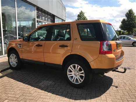 Land Rover Freelander - 2.2 TD4 HSE leder navi pandak - 1