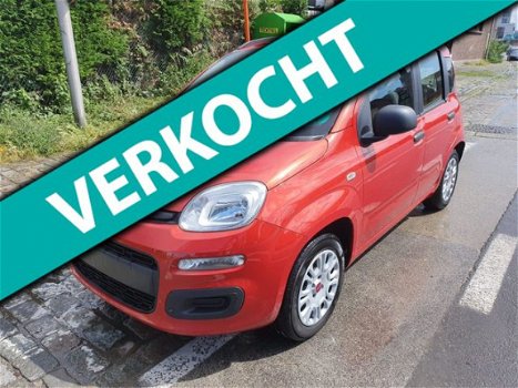 Fiat Panda - 1.2 Edizione Cool - 1