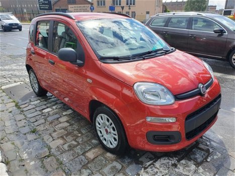 Fiat Panda - 1.2 Edizione Cool - 1