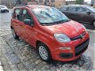 Fiat Panda - 1.2 Edizione Cool - 1 - Thumbnail