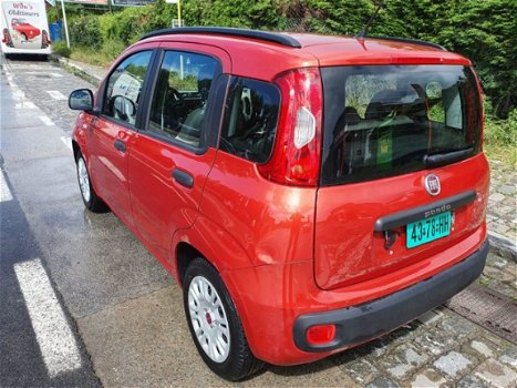 Fiat Panda - 1.2 Edizione Cool - 1