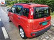 Fiat Panda - 1.2 Edizione Cool - 1 - Thumbnail