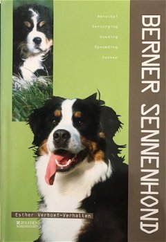 Berner Sennenhond, Esther Vehoef - 1