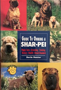 Guide to owning a shar-pei - 1