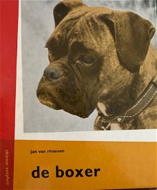 De Boxer, Jan Van Rheenen
