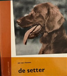 De Setter, Jan Van Rheenen