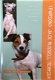 Jack Russell Terrier, Esther Verhoef - 1 - Thumbnail