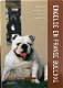 Engelse en Franse bulldog, Esther Verhoef - 1 - Thumbnail