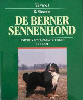 De Berner Sennenhond, R.Stevens - 1