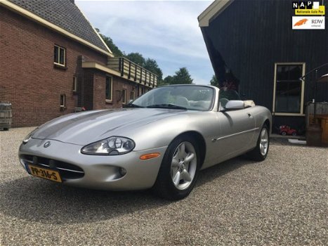 Jaguar XK8 - 4.0 V8 Convertible YOUNGTIMER - 1