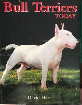 Bull Terriers Today, David Harris - 1