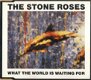 The Stone Roses ‎– What The World Is Waiting For/Fools Gold ( 3 Track CDSingle) - 1 - Thumbnail
