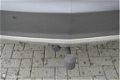 Opel Antara - 2.4-16V Enjoy 4 WD - 1 - Thumbnail