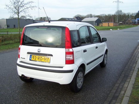 Fiat Panda - 1.2 Class - 1