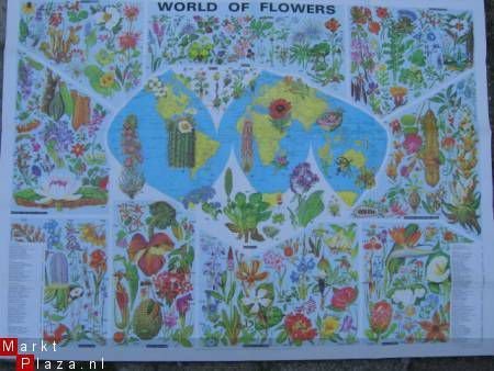 World of Flowers - 2