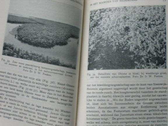 Botanische landschapstudies in Nederland - Afbeelding 3