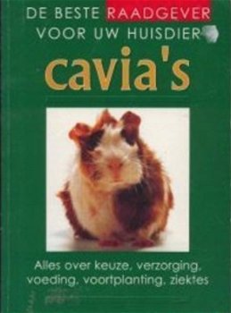 Cavia's, de beste raadgever voor uw huisdier - 1