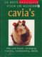 Cavia's, de beste raadgever voor uw huisdier - 1 - Thumbnail