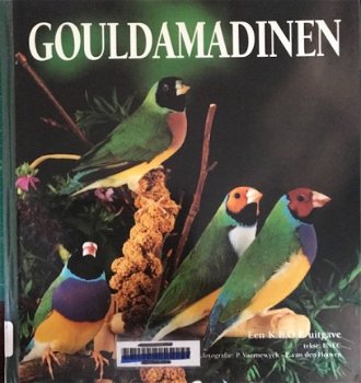 Gouldamadinen - 1