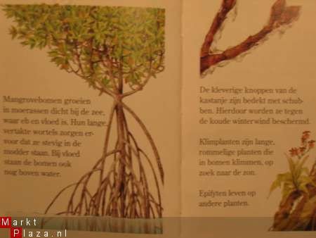 Mijn eerste encyclopedie: De Planten. - 2