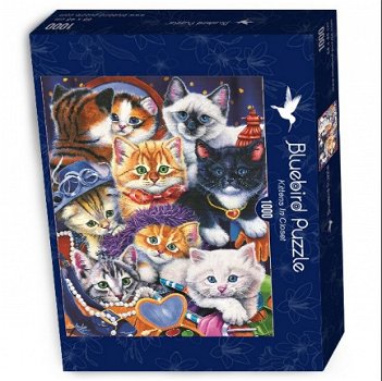 Bluebird Puzzle - Kittens in Closet - 1000 Stukjes - 2