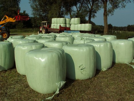 Voordrooghooi in kleine ronde (midi) balen, ongveer 125kg. - 3