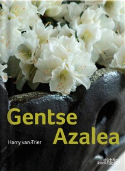 Gentse Azalea - 1