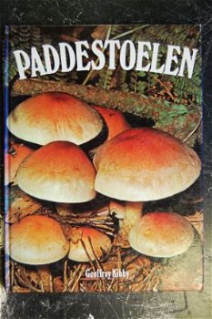 Geoffrey Kibby: Paddestoelen - 1