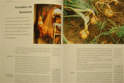 Fieke Hoogvelt: De moestuin - 2