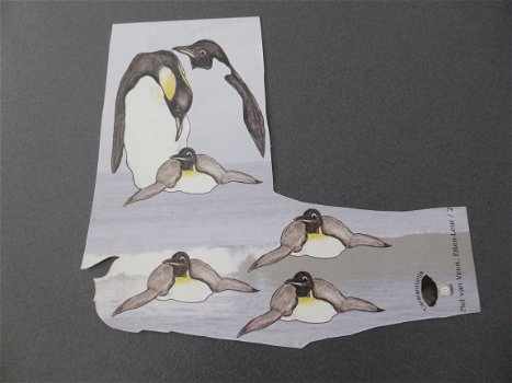 3D Knipvel 344, pinguin - 1