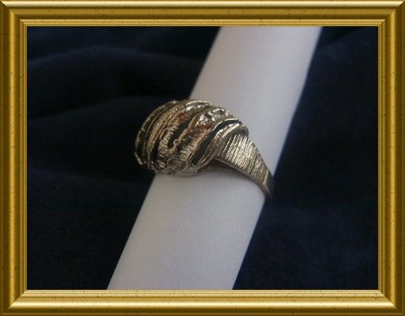 Mooie zilveren design ring : grillig - 1