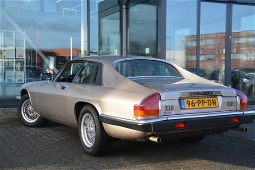 Jaguar XJS - 5.3 AUT V12 - 1