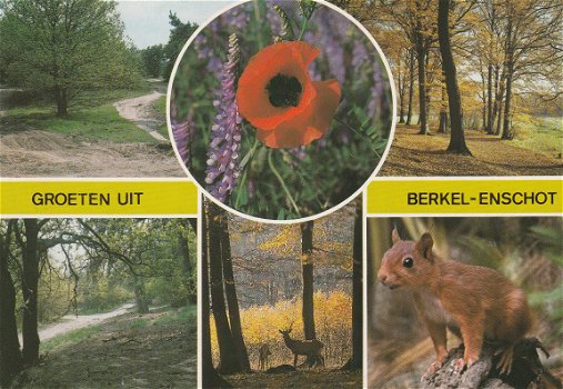 Groeten uit Berkel-Enschot - 1