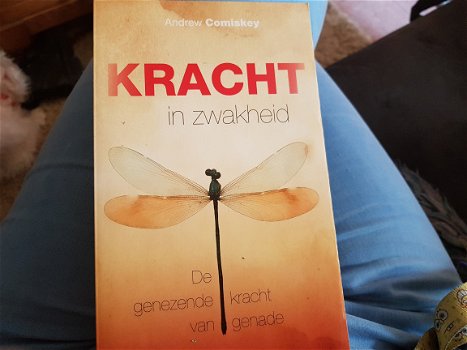 Andrew comiskey - kracht in zwakheid - 1