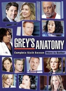 Grey's Anatomy - Seizoen 6  ( 6 DVD)