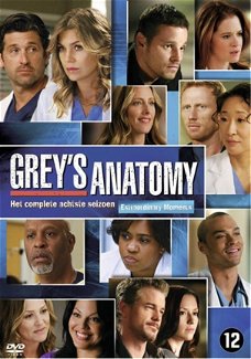 Grey's Anatomy - Seizoen 8  ( 6 DVD)