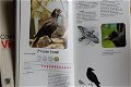 Courante Vogels & Courante Viervoeters - 4 - Thumbnail