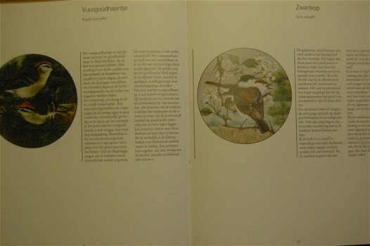 Vogels natuurlijk - 3