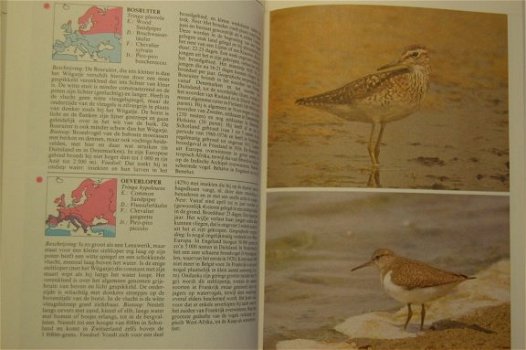 Encyclopedie van de vogels - 2