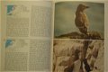 Encyclopedie van de vogels - 3 - Thumbnail