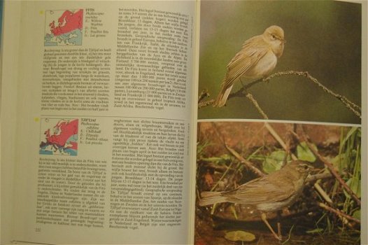 Encyclopedie van de vogels - 4