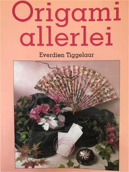 Origami allerlei, Everdien Tiggelaar - 1