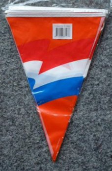 Vlaggenlijn PE oranje met r/w/b waperende vlag