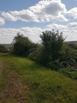 Ardennen,5570 Winenne-Beauraing: Bouwgrond 10a55ca, knap vrij uitzicht! - 3