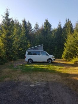 VOLKSWAGEN CALIFORNIA - 2