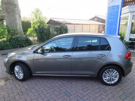 Volkswagen Golf - Golf VII 1.2 TSI Cup - 1